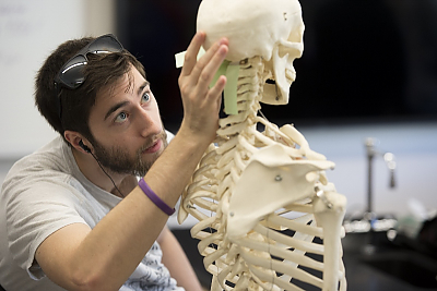 Student examines human skeleton